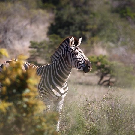 Bukela Game Lodge - Заповедник Амакхала Экстерьер фото