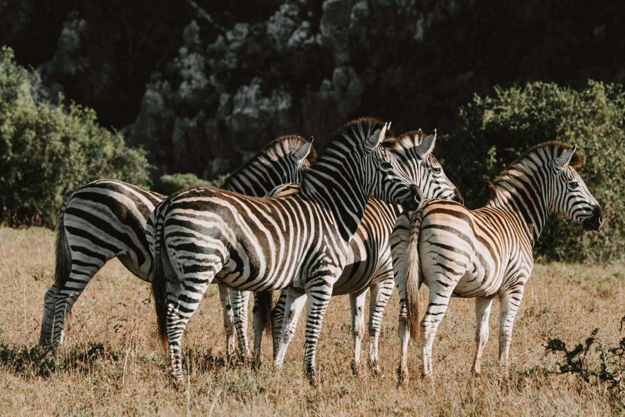 Bukela Game Lodge - Заповедник Амакхала Экстерьер фото