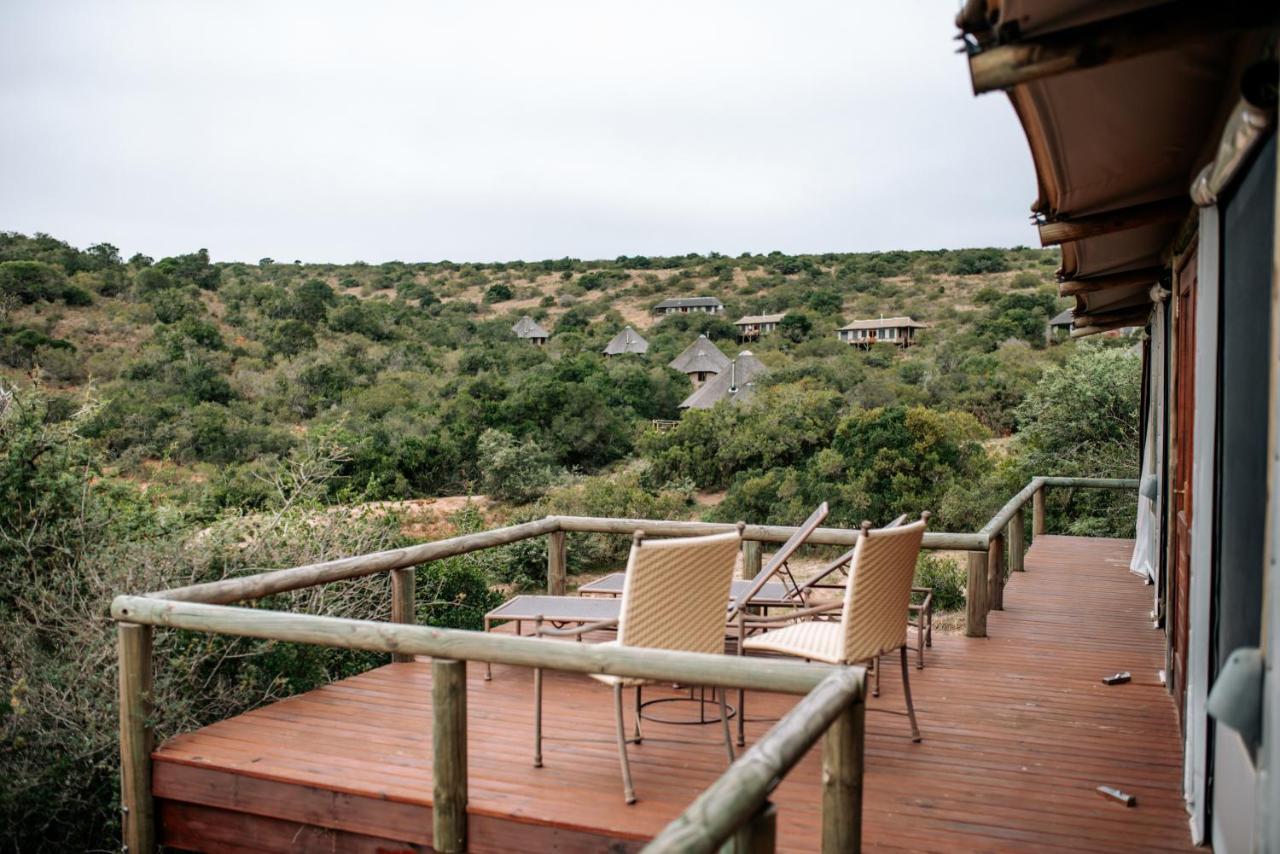 Bukela Game Lodge - Заповедник Амакхала Экстерьер фото