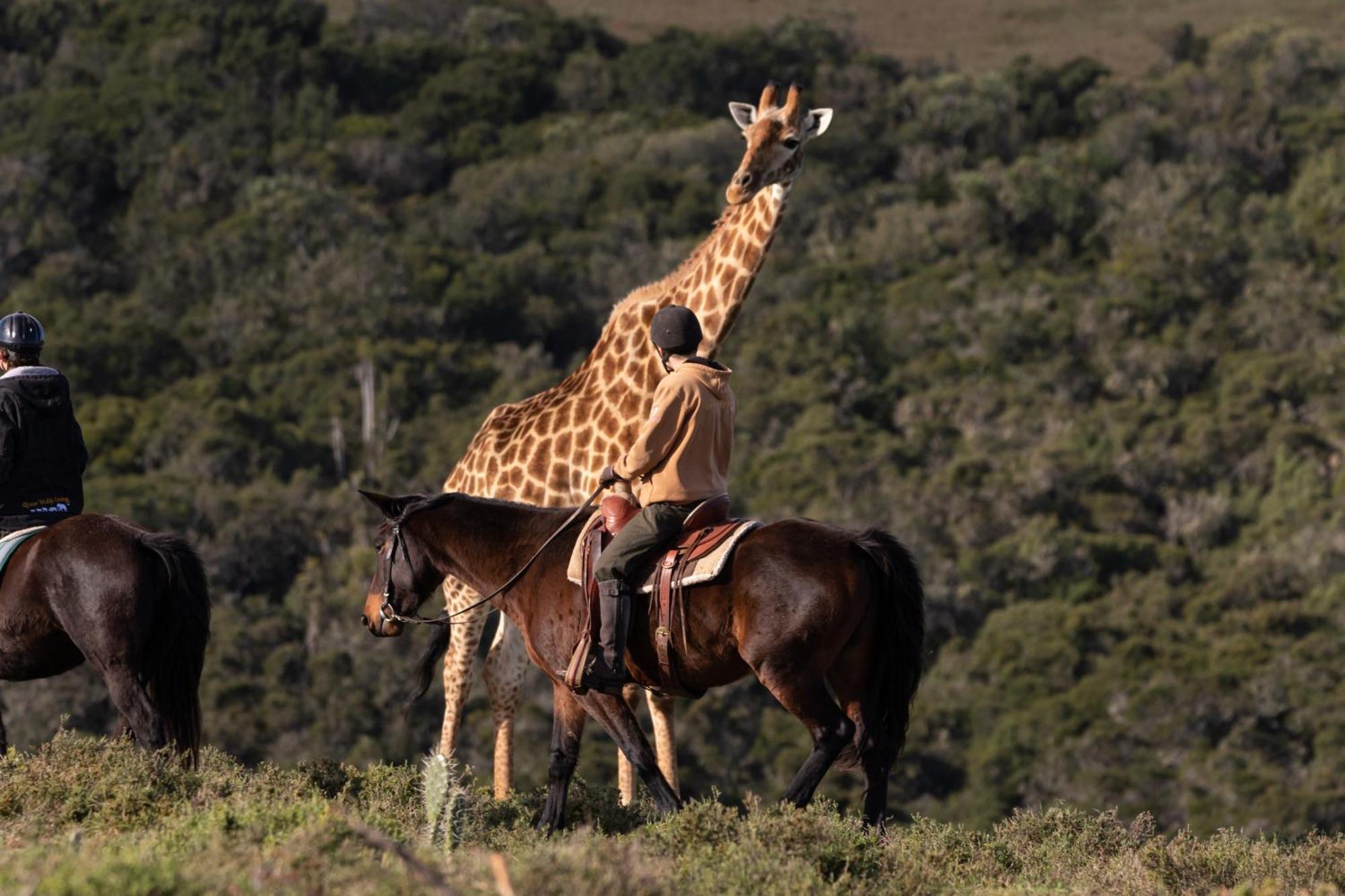 Bukela Game Lodge - Заповедник Амакхала Экстерьер фото
